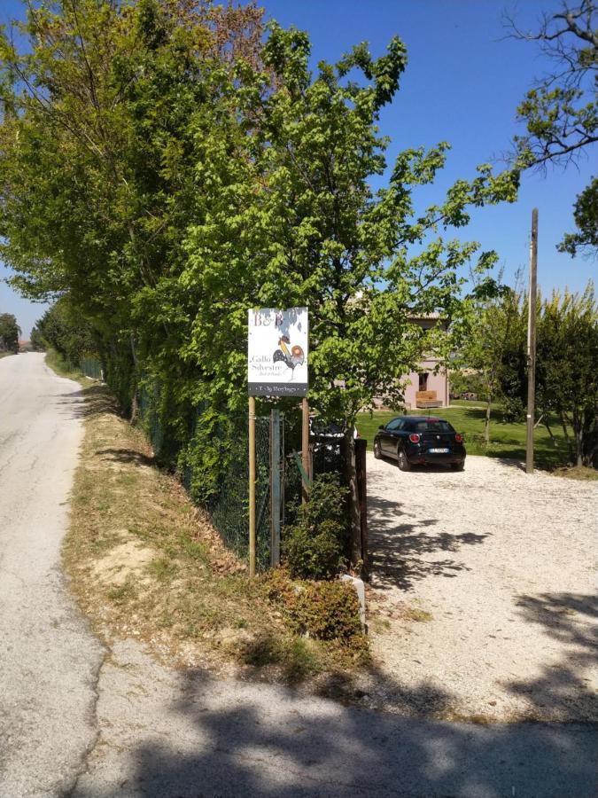 Il Gallo Silvestre - Bed&Books Montecassiano Εξωτερικό φωτογραφία